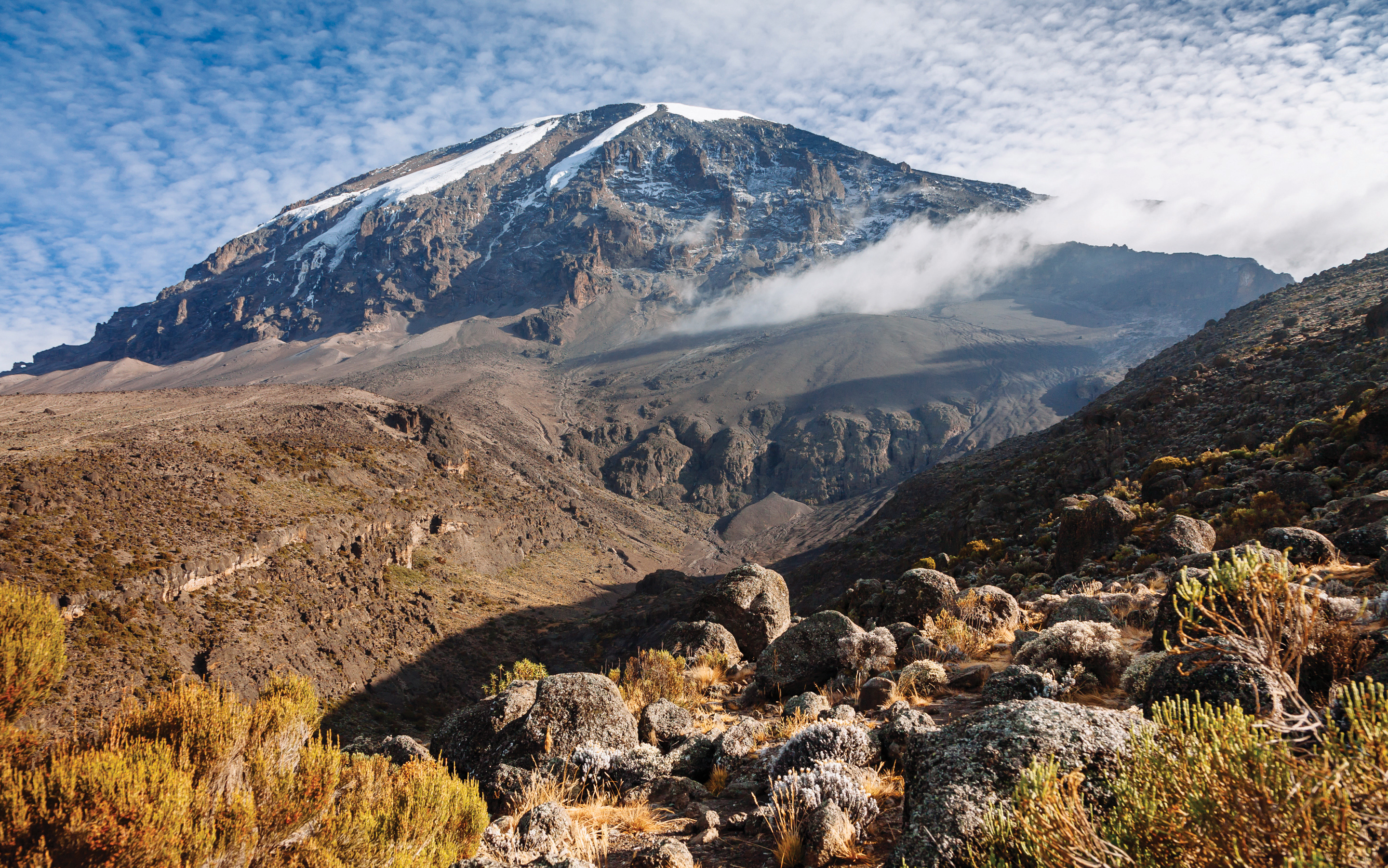 The spectacular view across the moorland towards the snow capped summit of Mount Kilimanjaro.