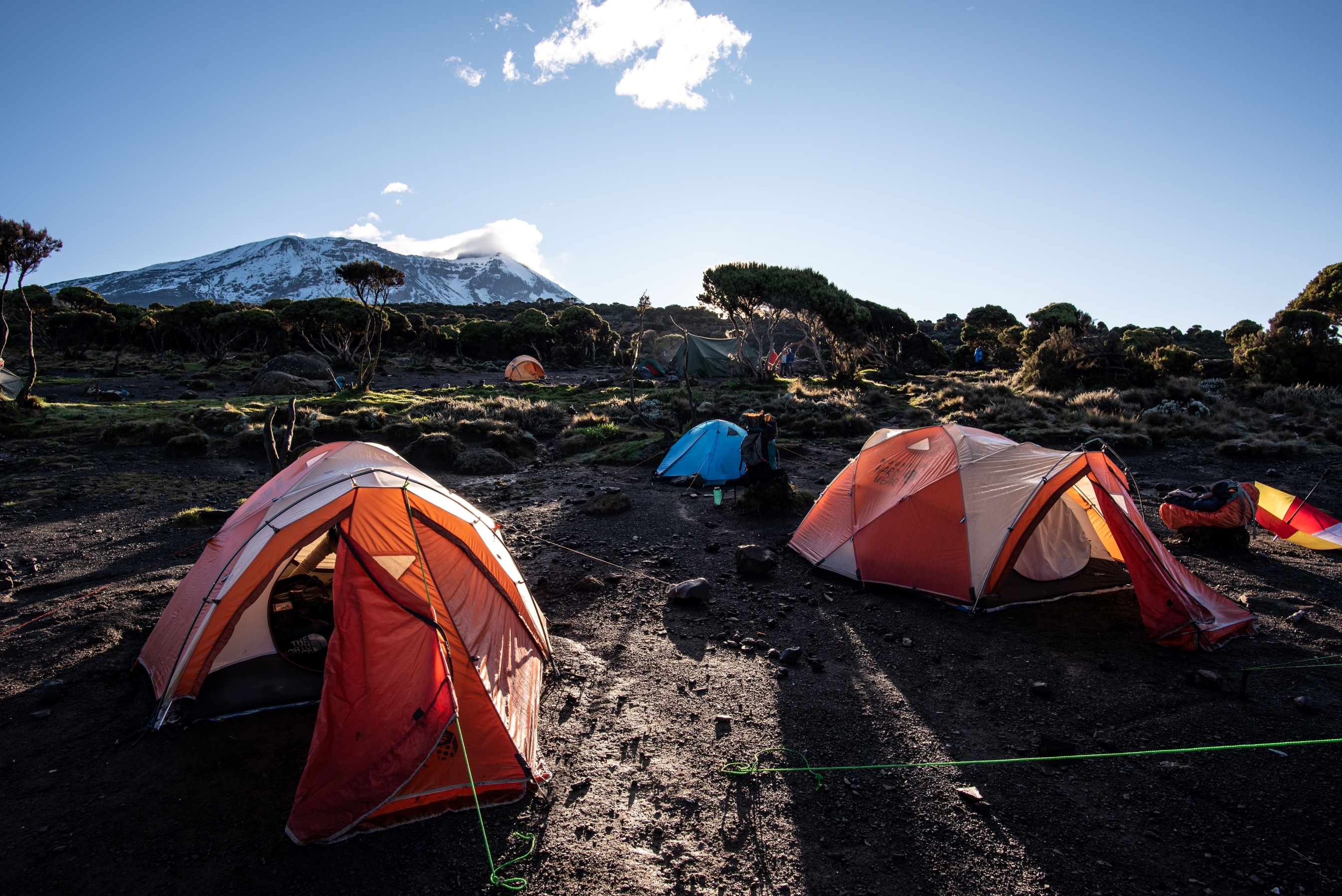 A fantastic view of the summit of Kilimanjaro from a tent camp low on Kilimanjaro